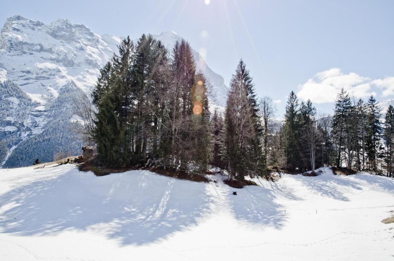 Apartment Grindelwaldgletscher - Griwa Rent Ag Extérieur photo